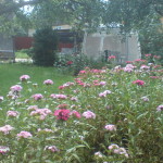 DSC01072