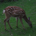 bd2db49293f8d008364225d2929558ff_600x1000